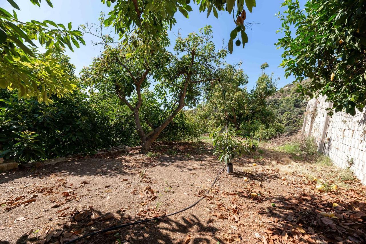 Casa Rural Entre Ojen Y Marbella Ngoại thất bức ảnh